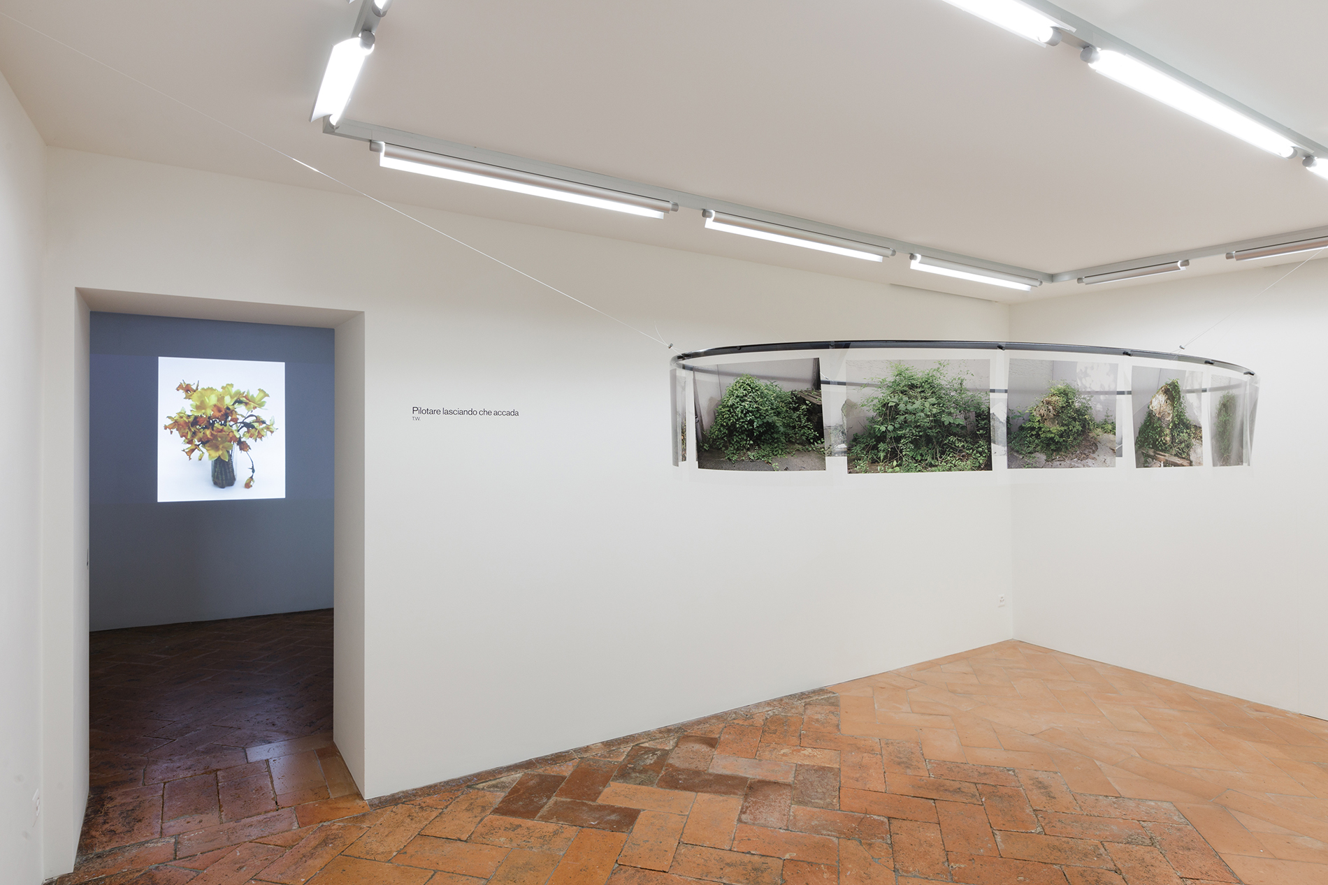 Teres Wydler, Ausstellungsansicht. Links: Lily's. Artificio in natura, natura in artificio, 2018, video. Rechts: Cà verde, 2002-2018, Installation, 14 Prints auf Transparentpapier auf einer Stahlellipse mit Magneten 